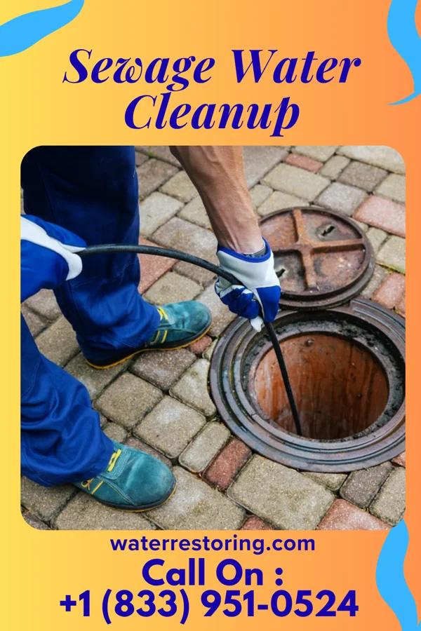Sewage Water Cleanup in Farmington, IA