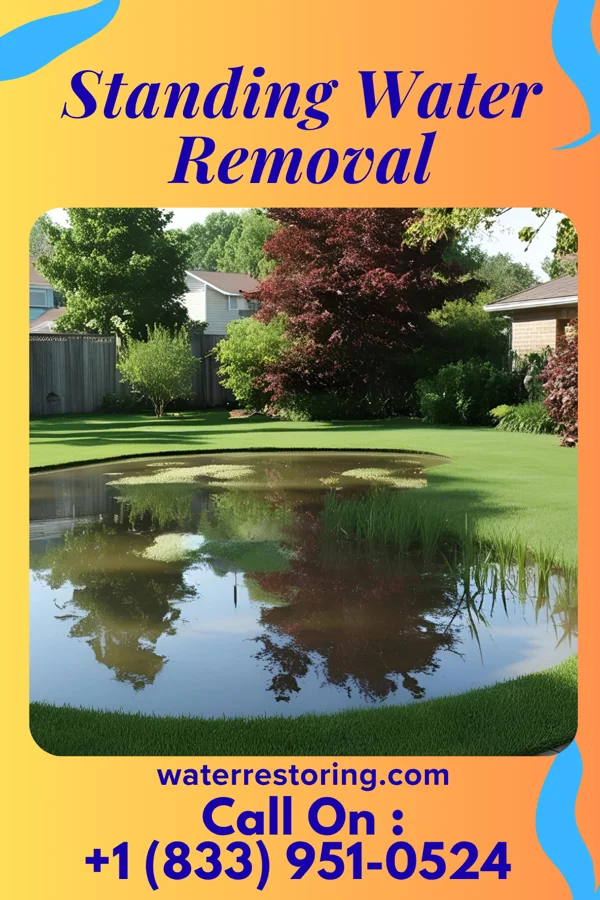 Standing Water Removal in Farmington, IA